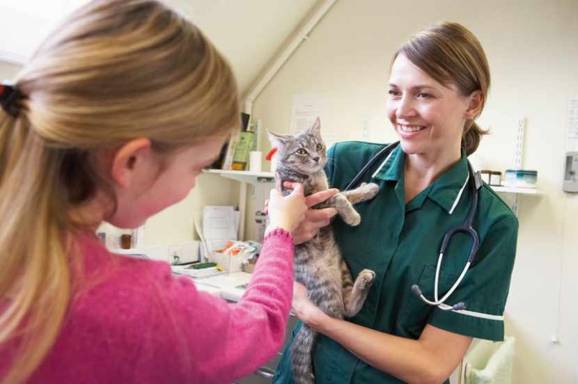 Refurbish your veterinary practice this summer