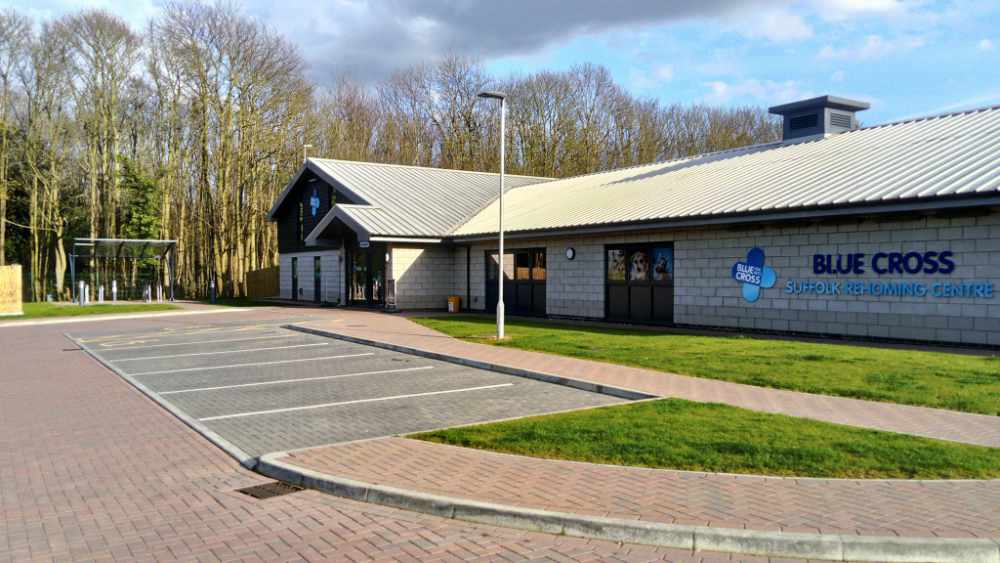 The Blue Cross Rehoming Centre, Suffolk