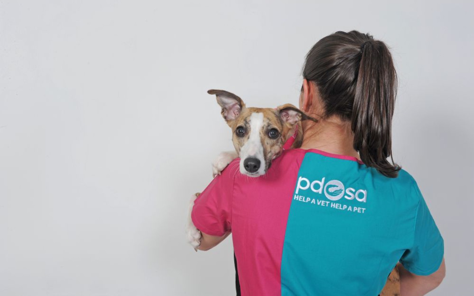 Veterinary furniture for the PDSA